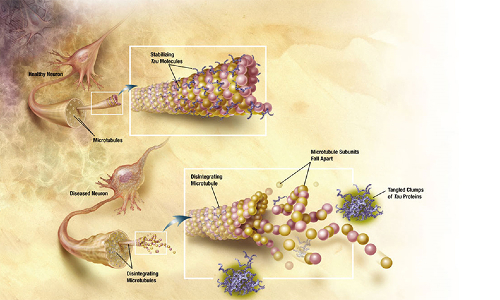 Science of CTE 