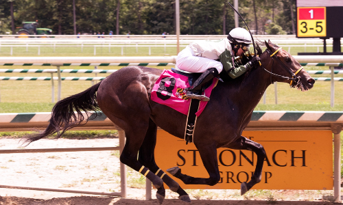 Jenn Miller Jockey