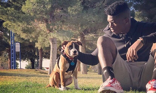 Kenny Keys Dog