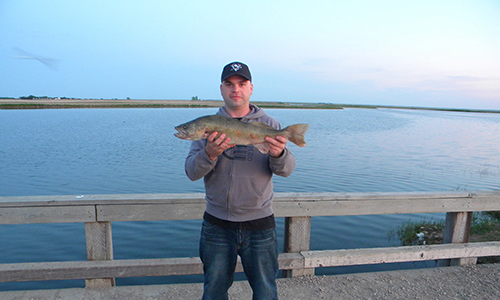 Lyndon Kenny Fish