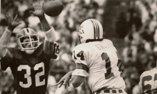 Ray Easterling Defense
