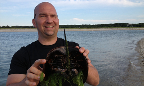 Tom Johnson Horseshoe Crab